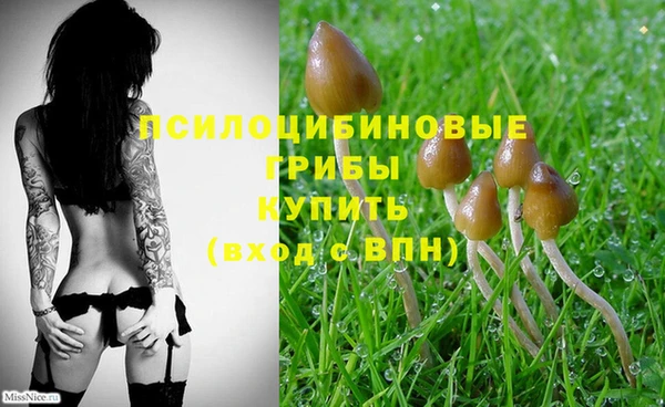 мескалин Бронницы