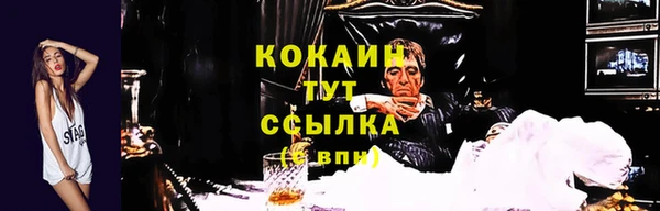 Альфа ПВП Бугульма