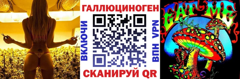 Псилоцибиновые грибы GOLDEN TEACHER  Сосногорск 